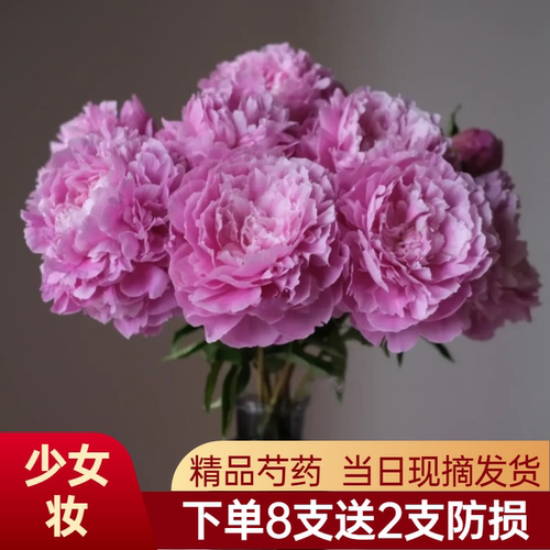 51福利 少女妆  重瓣芍药鲜花