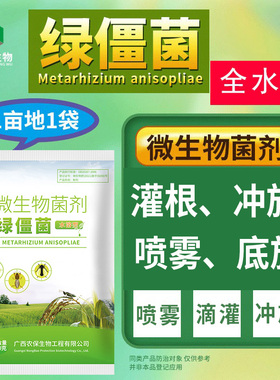 水溶型 20亿/克微生物菌剂绿僵菌侵染作物地下地上危害等