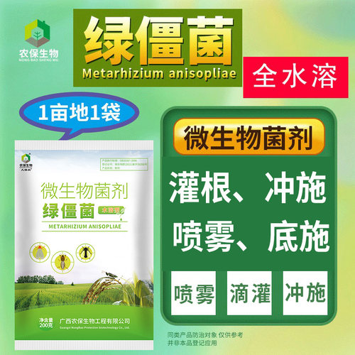 水溶型 20亿/克微生物菌剂绿僵菌侵染作物地下地上危害等