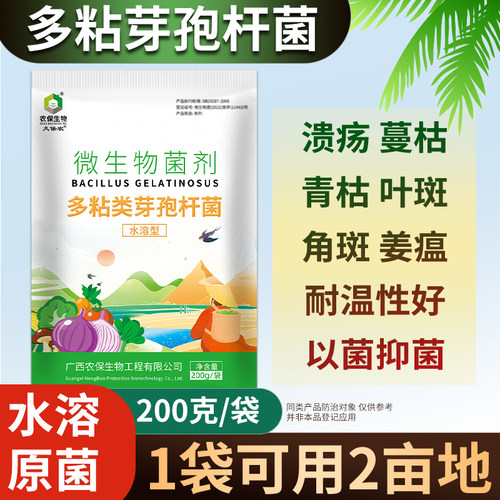 多粘芽孢杆菌生物菌软腐叶斑姜瘟