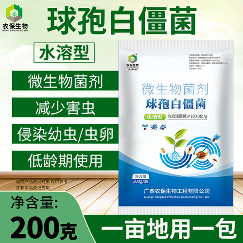 100亿球孢白僵菌原粉松毛虫天牛