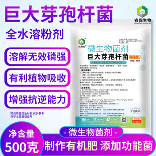 水溶 巨大芽孢杆菌改良土壤溶磷钾活菌促进土壤肥效吸收100亿/克