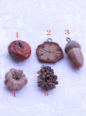 天然干果实花片吊坠耳饰项链