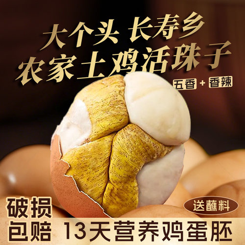 活珠子新鲜13天五香味开袋即食香辣毛蛋活珠子熟毛鸡蛋胚钢化蛋