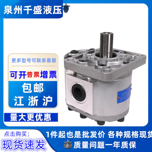 长源款齿轮油泵 CBNC-F510-BLHL 环卫清障用油泵CBND-F532-BFHL