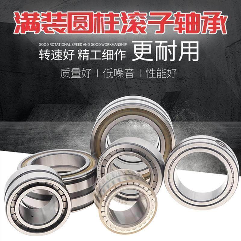 SL满装圆柱滚子轴承SL04/NNF5004PP 5005PP 5006PP 5007PP 5008PP
