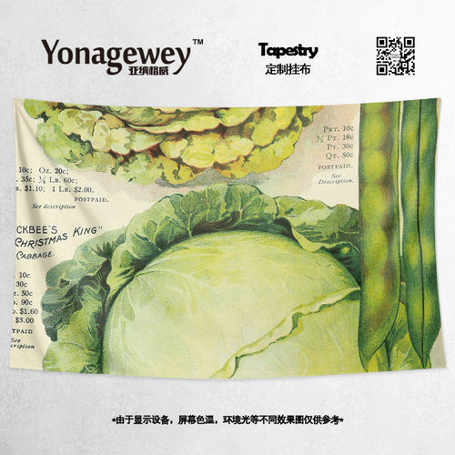 挂毯创意食物卷心菜豆角插画