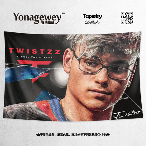 挂布Twistzz发型总监CSGO应援