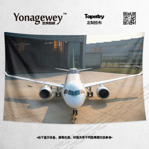 挂布国产民航大飞机C919ARJ21