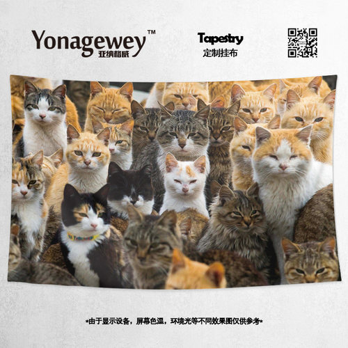 挂布创意小众猫咪喵星人宠物
