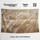 饰背景布海报挂布挂毯 修搭配周边卧室客厅沙发墙装 简约芦苇中式 装