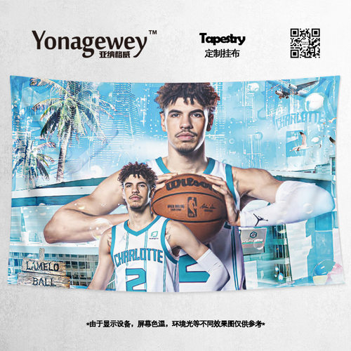 挂布拉梅洛鲍尔夏洛特黄蜂球星