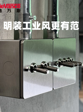 工业风拨杆复古开关面板墙壁86不锈钢明线盒一开带五孔插座明装