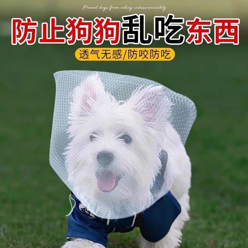 防止狗狗乱吃东西狗狗外出嘴套防嘴套
