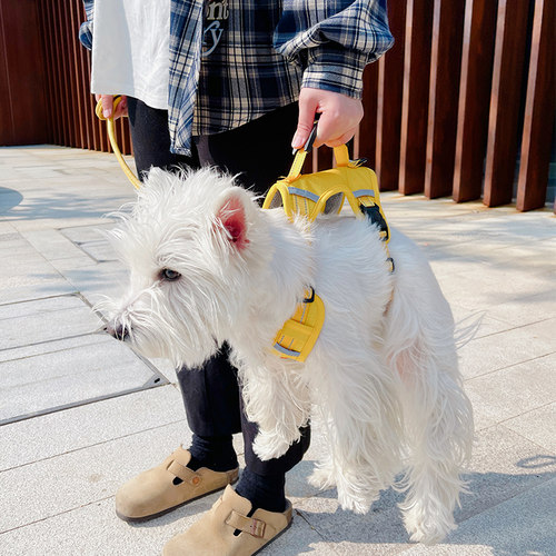 狗狗胸背带牵引绳遛狗外出神器小狗牵狗绳狗链宠物猫咪背心式比熊