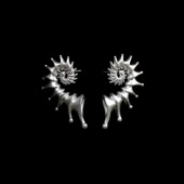 white Vintage古着 Pure conch耳饰