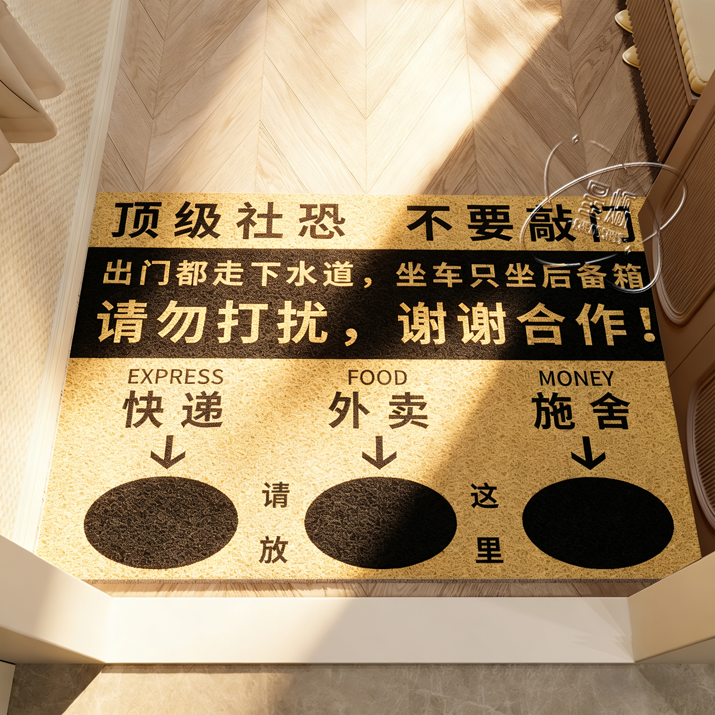 地垫入户门垫氛围感丝圈防滑耐脏