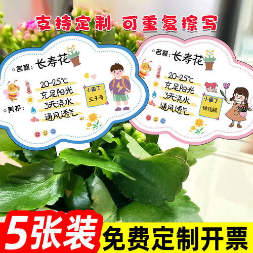 植物标签插牌幼儿园绿植养护卡片
