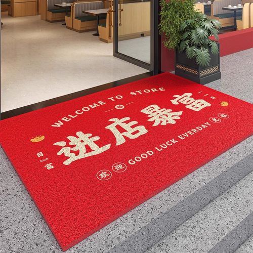 丝圈进店暴富商用地垫