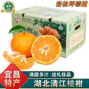 正宗宜昌长阳清江椪柑特级大果整箱酸甜礼盒时令芦柑当季新鲜水果
