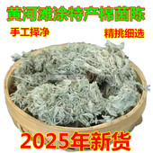 干棉茵陈白蒿2025新货黄河滩涂农民采挖择净整颗干净无硫熏无杂质