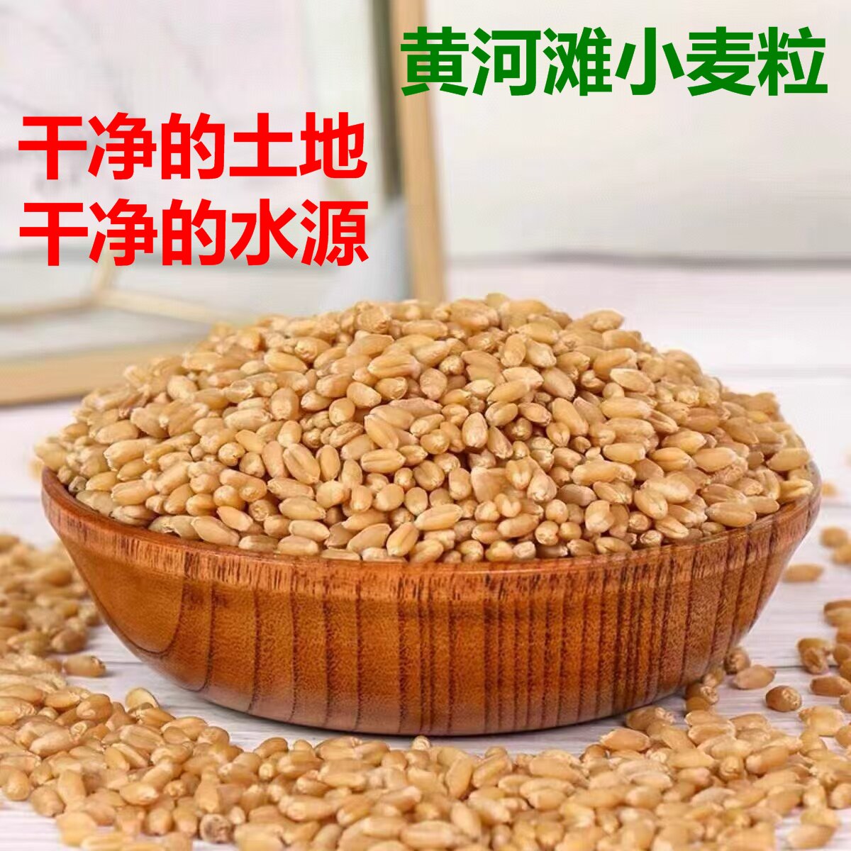 小麦粒2026新货黄河滩农家老品种