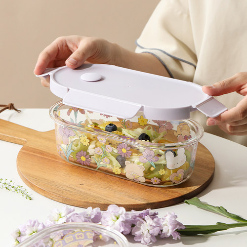 高颜值饭盒便当盒高硼硅可加热