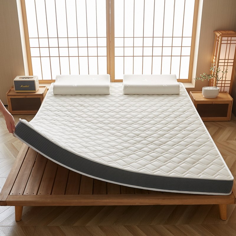 乳胶记忆棉床垫遮盖物软垫家用卧室宿舍学生单人榻榻米海绵褥垫子