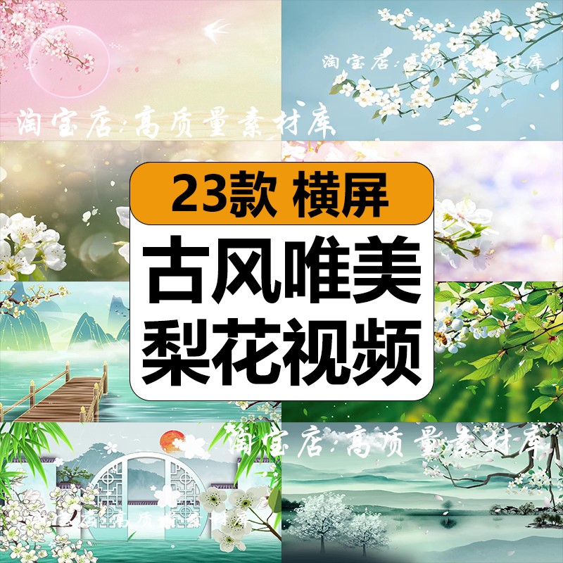 中国古风水墨梨花瓣唯美舞蹈演出晚会舞台LED大屏幕背景视频素材