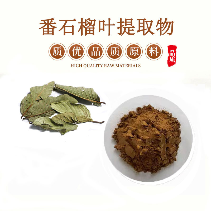 番石榴叶提取物 30:1番石榴叶粉 1.5%番石榴叶黄酮
