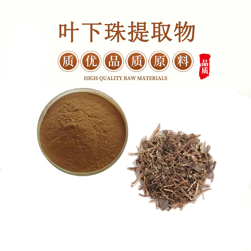 叶下珠提取物 10:1叶下珠粉 珍珠草珠仔草提取浓缩粉末