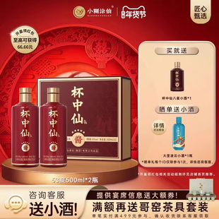 小糊涂仙53度杯中仙五星双支礼盒500ml*2瓶浓香型白酒