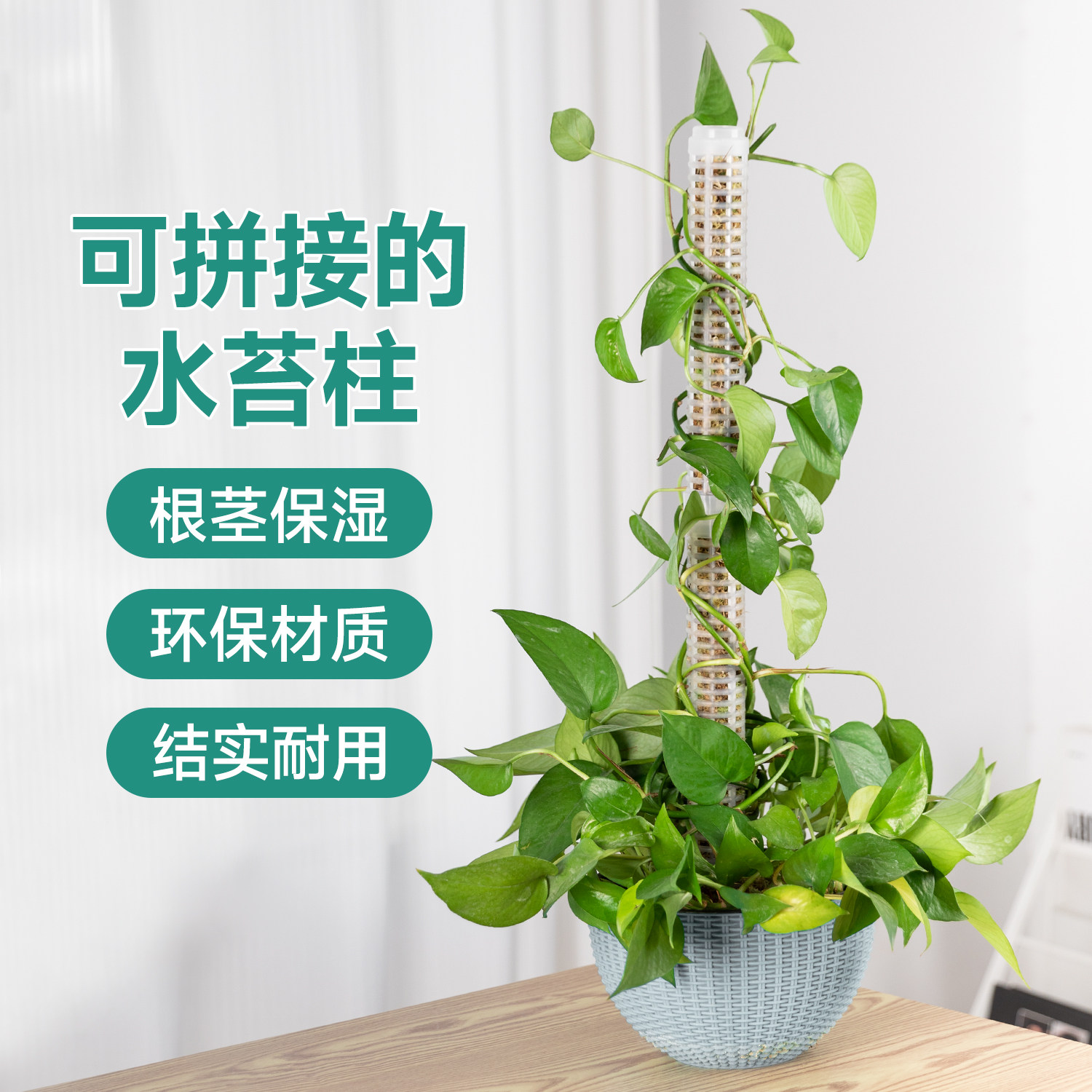 水苔柱可拼接增高长茎攀爬爬藤植物攀附柱龟背竹蔓绿绒绿萝固定器