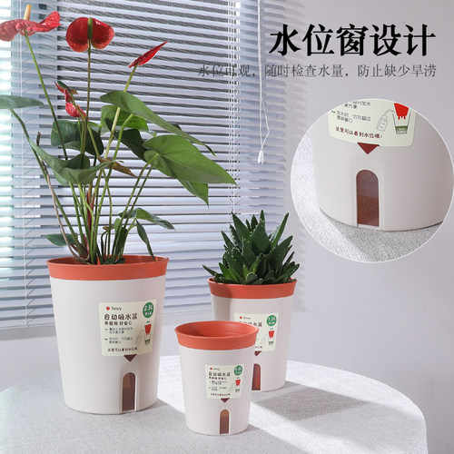 树脂塑料圆形水培植物