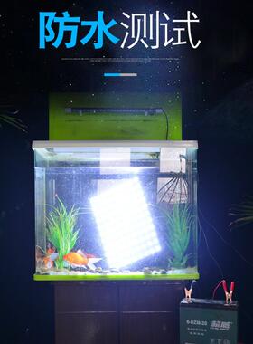 12vled夜市灯地摊灯48V摆摊专用灯低压直流户外应急灯超亮48-450W