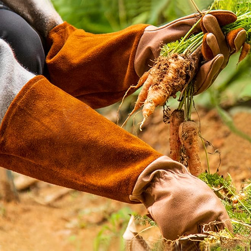 防刺防割防扎防水户外月季榴莲