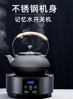 迷你电陶炉煮茶器小型电磁茶炉新型烧水养生壶煮茶炉2025新款家用