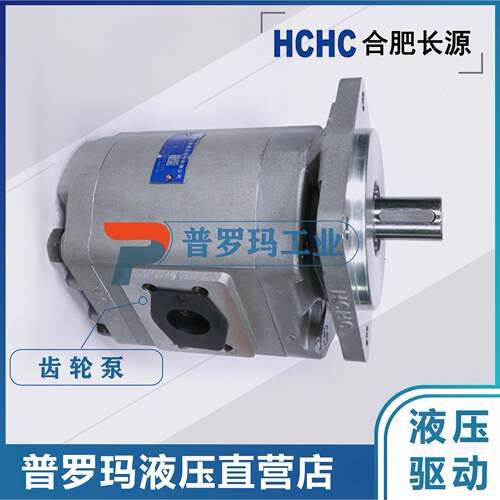 合肥齿轮油泵CBG2032-BFPCBG2040/2050/2063/2080/2100BFPL