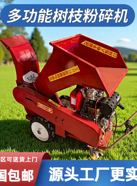 大型树枝粉碎机果园林碎枝干湿两用小型移动式玉米秸秆木材破碎机