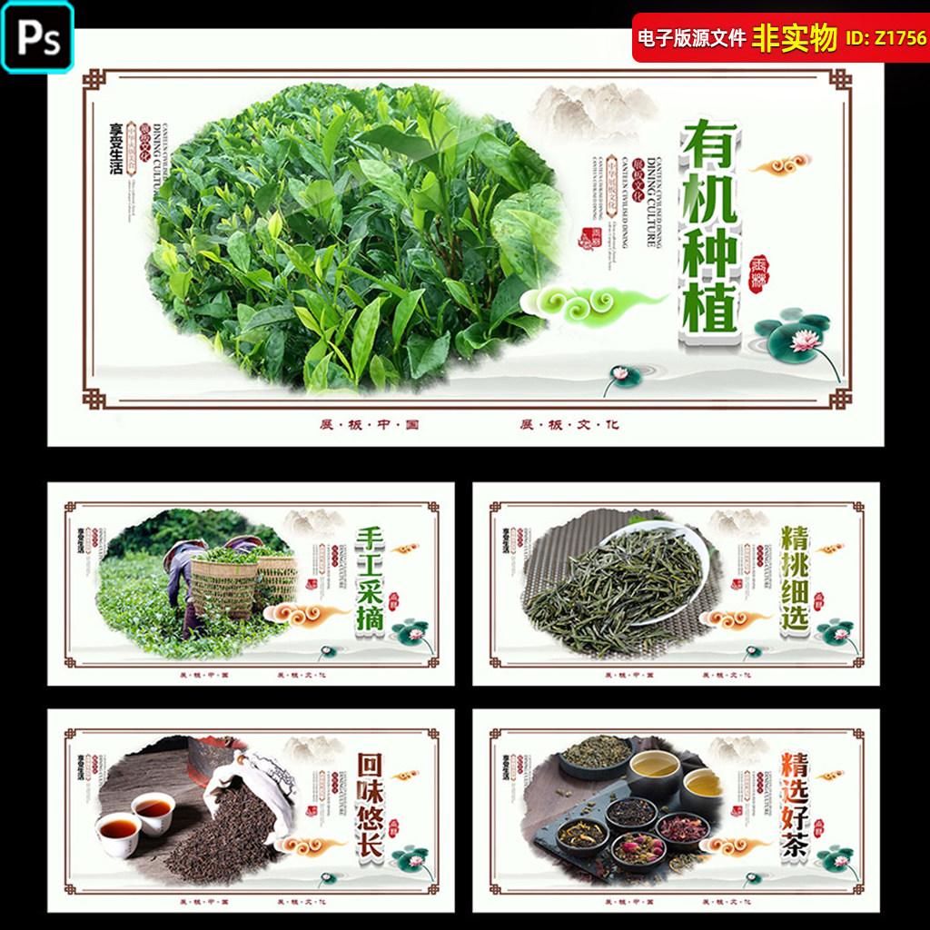 茶叶海报茶叶挂画茶叶包装茶文化展板茶道茶馆装饰画春茶PSD素材