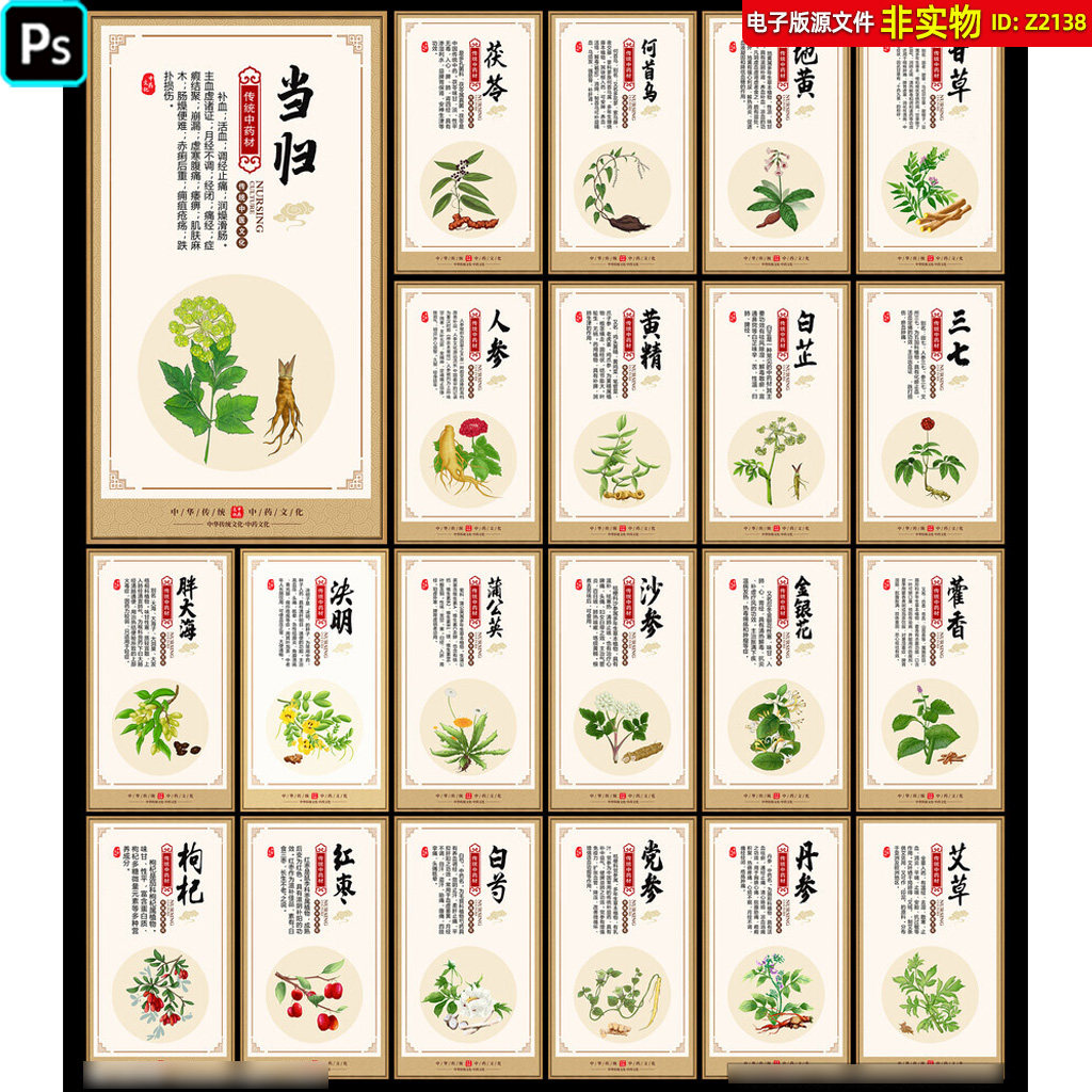 中药材植物展板挂图中医文化海报中医馆挂画当归人参何首乌PS素材