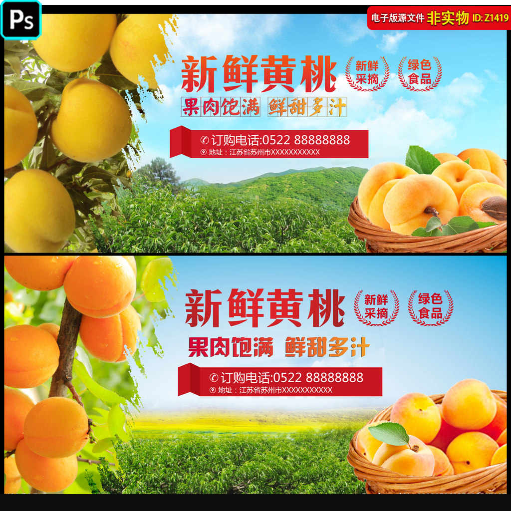 新鲜黄桃展板海报超市水果灯箱背景单页桃子挂画包装展架psd素材