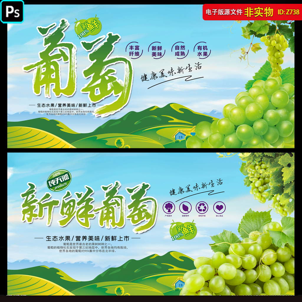葡萄展板背景水果灯箱挂画采摘季绿葡萄晴王水晶提子PSD素材模板