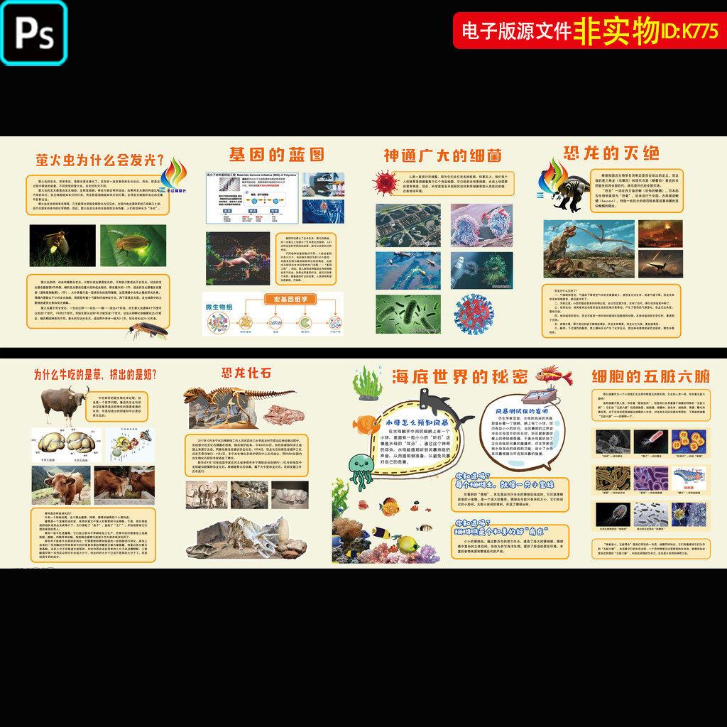 生物学科文化墙中学生物知识文化长廊生物展板细菌细胞基因素材