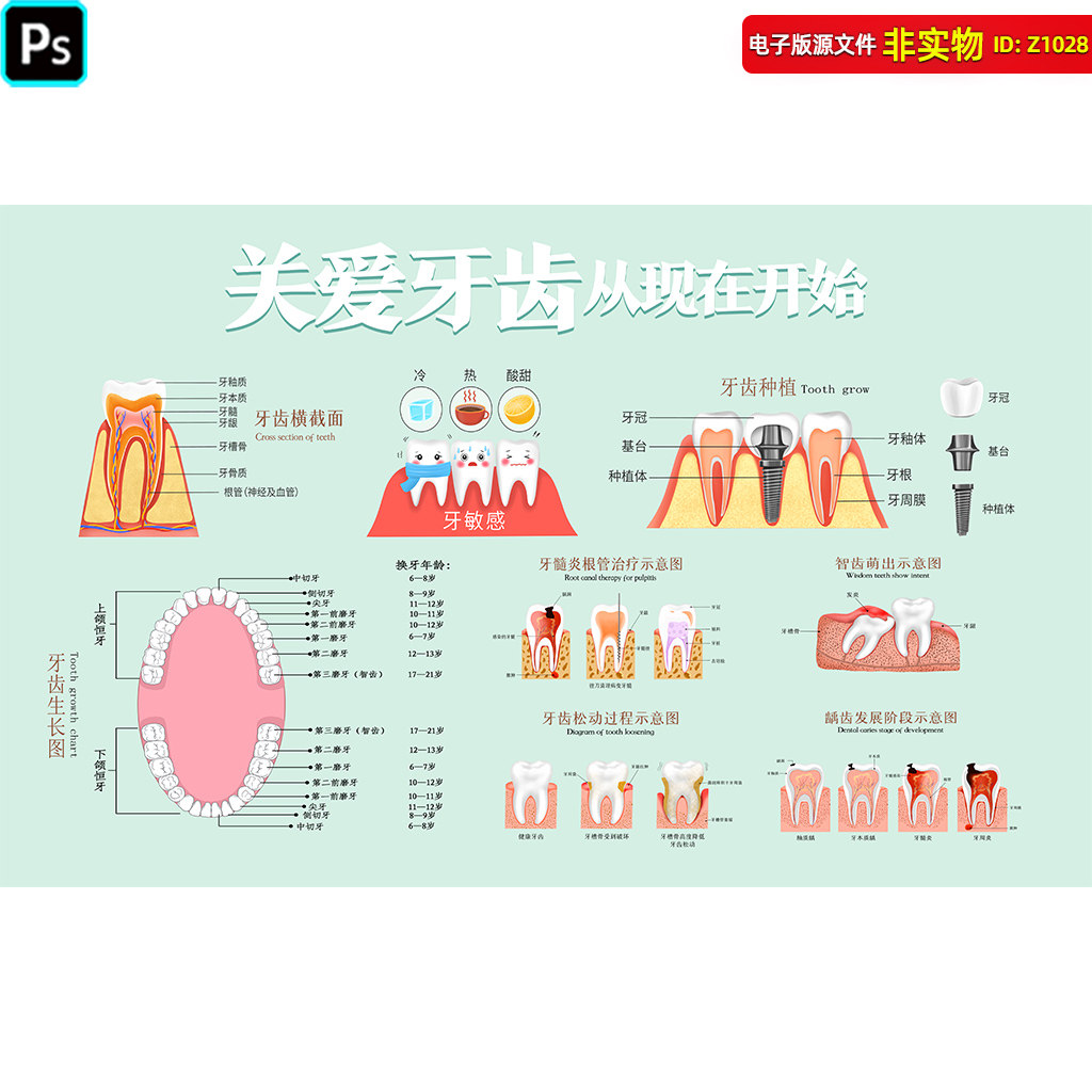 牙科背景挂画口腔健康展板海报全国爱牙日牙齿矫正种植牙PSD素材