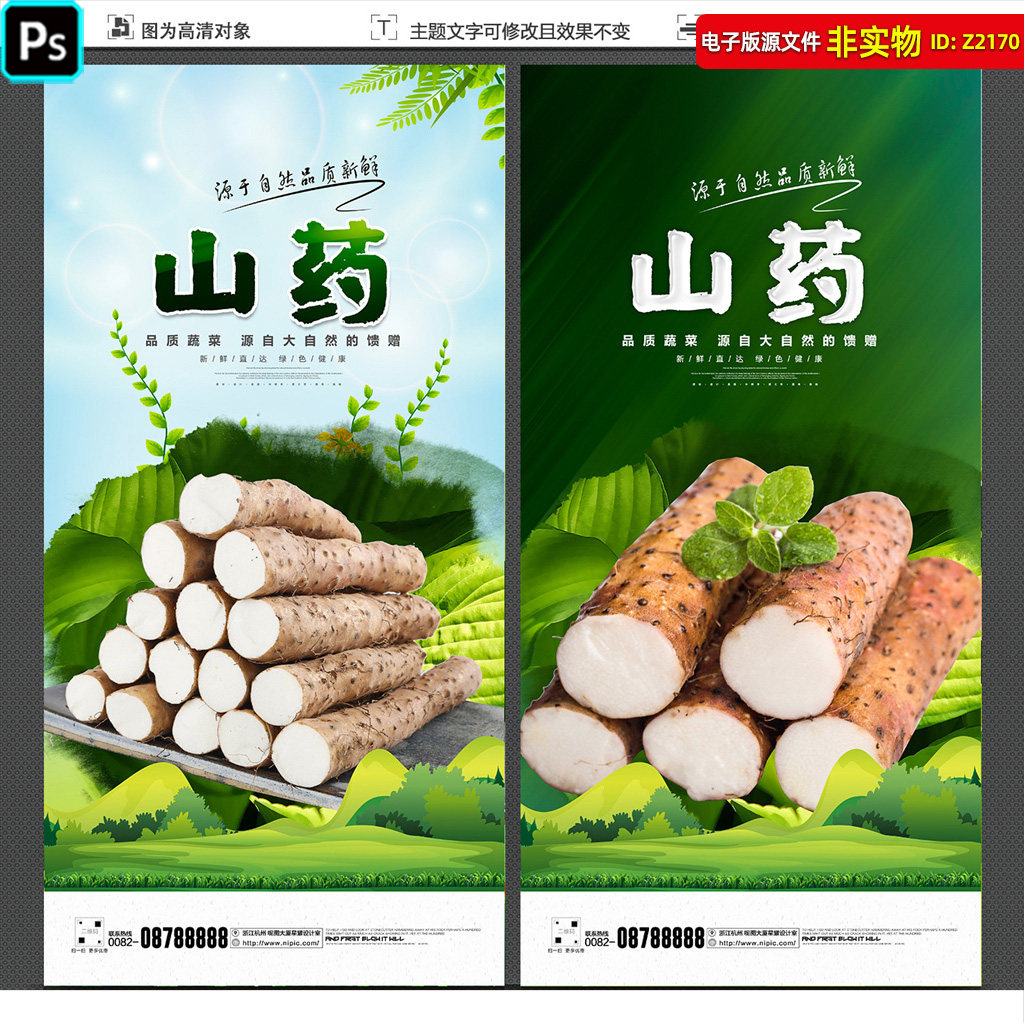 山药海报山药展板中药补品山药礼盒包装插图山药灯箱挂画psd素材