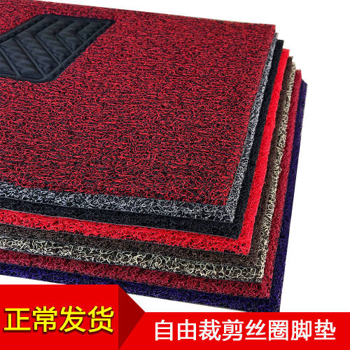 汽车丝圈脚垫通用易清洗副驾驶