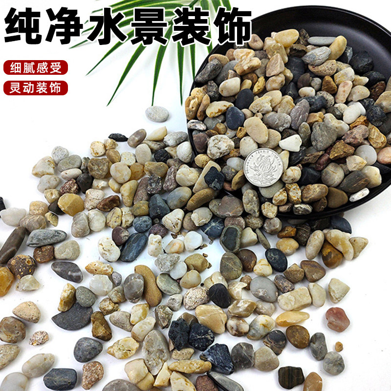 景观溪流沙花盆上面的小石子鱼缸