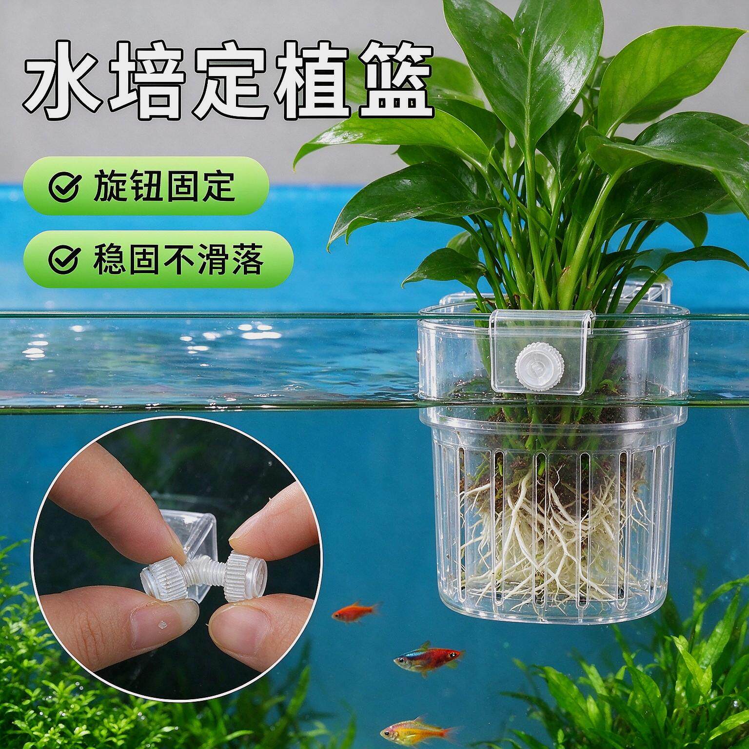 塑料绿萝固定篮水培植物定植篮