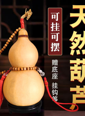 天然葫芦挂件带龙头五帝钱家居客厅玄关桌面文玩特大号真葫芦摆件